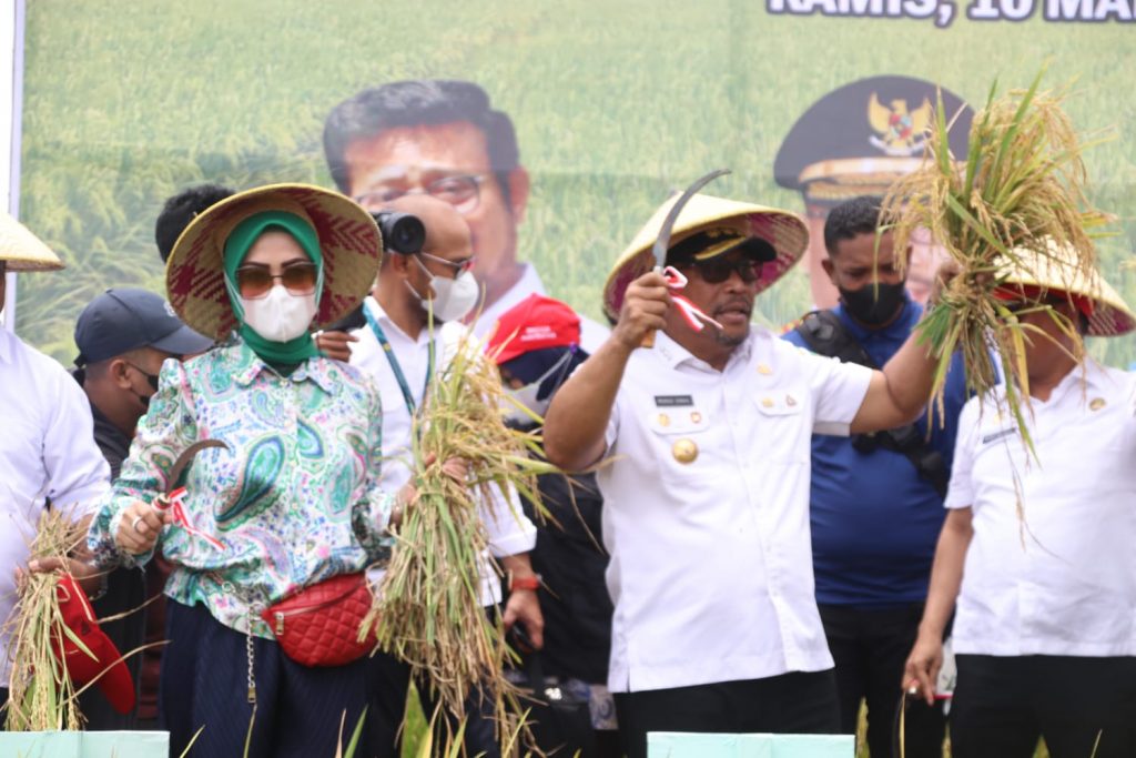 GUBERNUR MALUKU PANEN RAYA PADI DAN PENCANANGAN IP 400 DI SERAM UTARA TIMUR KOBI
