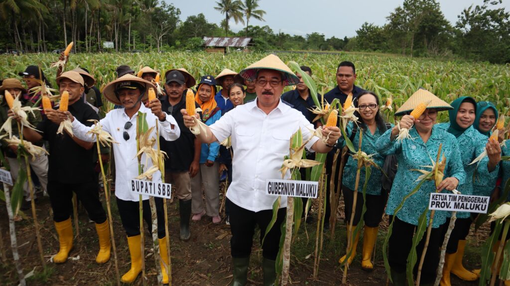 GUBERNUR DAN ISTRI PANEN JAGUNG HIBRIDA DAN TANAM PERDANA PADI GOGO DI HATUSUA