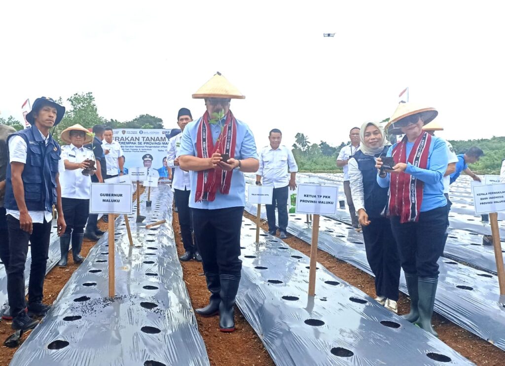 Gubernur Pimpin Gerakan Tanam 100 Ribu Anakan Cabai Serempak Untuk Maluku Tahan Pangan & Tekan Inflasi