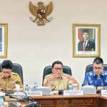 Wagub Maluku Paparkan Inovasi Perluasan Akses Keuangan pada Virtual Assessment TPAKD Award 2026