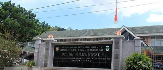Cita-Cita Luhur Menghadirkan Pelayanan Kesehatan Secara Paripurna di Provinsi Maluku